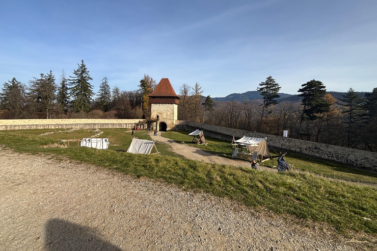 Brașov: Bran Castle, Bear Sanctuary, & Râșnov Citadel Tour