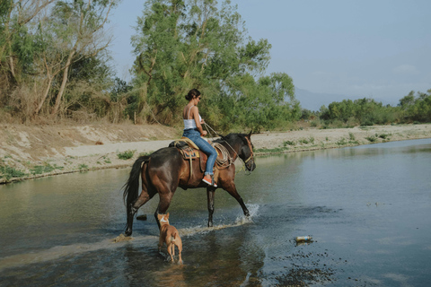 Goyave: Tropical Horseback Ride with River Crossing