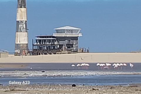 Walvis Bay: Excursão de 1 dia em caiaque e Sandwich Harbour