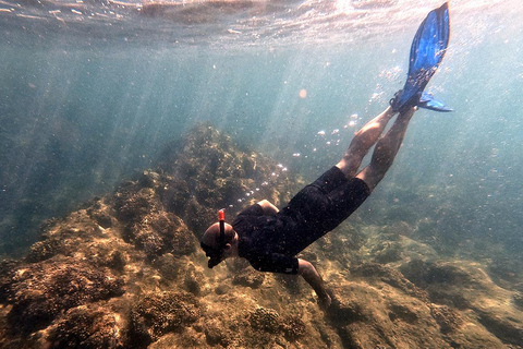 San Jose del Cabo Snorkeling Tour