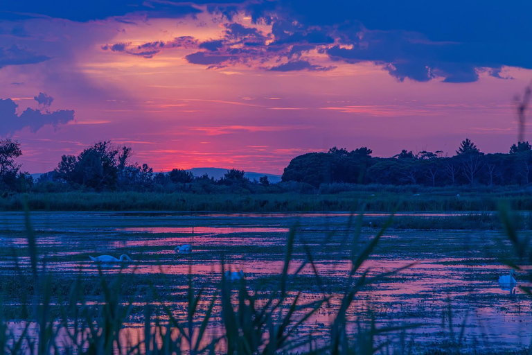 Camargue: Special sunrise/sunset photography session with horses and birds Camargue: Special sunrise/sunset photo shoot with horses and birds