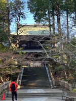 Kamakura; First Samurai Capital walking tour - Housity