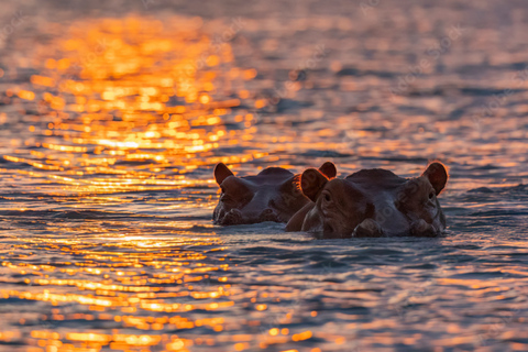 From Zanzibar: 2-Day Selous Safari with Flights & Lodge Stay 2-Day Selous Safari - Without Transfer