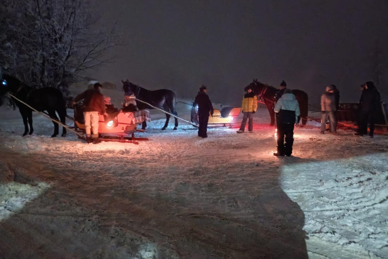 Krakow: Zakopane Snowmobile & Kulig Day Trip with Dinner