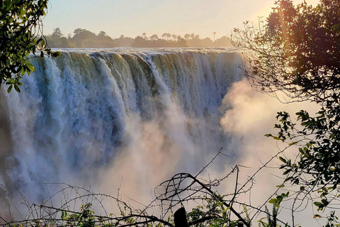 Victoria Falls: Guided Tour