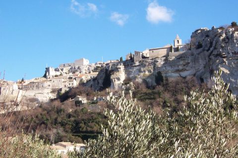 Avignon: Pont du Gard, Saint Remy and Les Baux Half-Day Tour