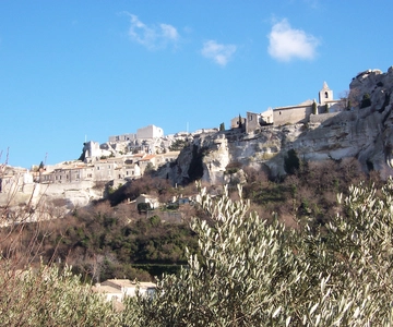 Avignone: Pont du Gard, Saint Remy e Les Baux Tour di mezza giornata