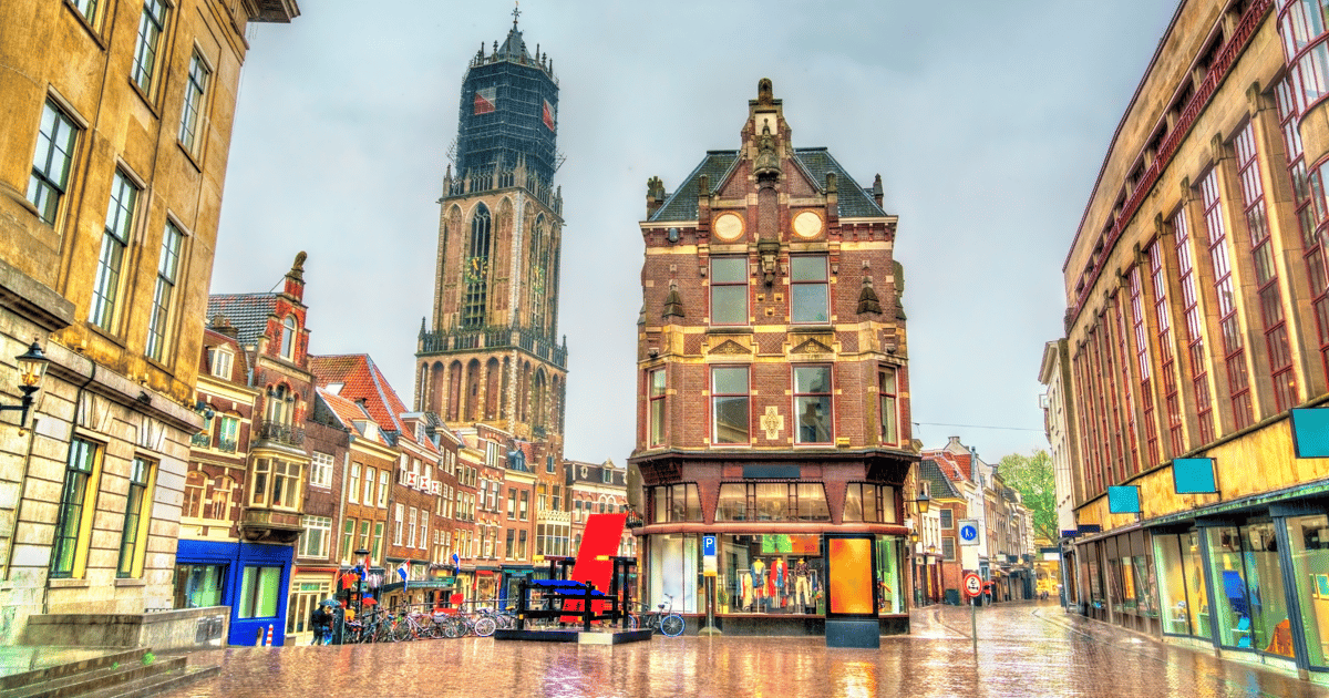 Beaver dam in urban waterway