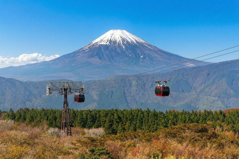 Mt. Fuji & Hakone Tour: Arakurayama, OshinoHakkai, Owakudani Tokyo Station | 7:30 AM Departure with English Guide