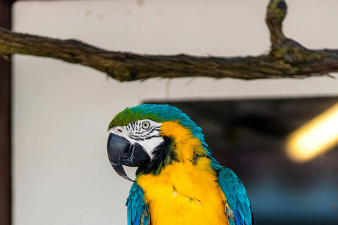 Vanuit Hammamet/Nabeul: Uitstapje naar dierenpark Friguia