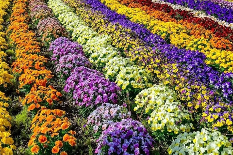 Private Tour From Tokyo To Mount Fuji with Custom Itinerary Mount Fuji Full-Day Private Tour Customizable individual