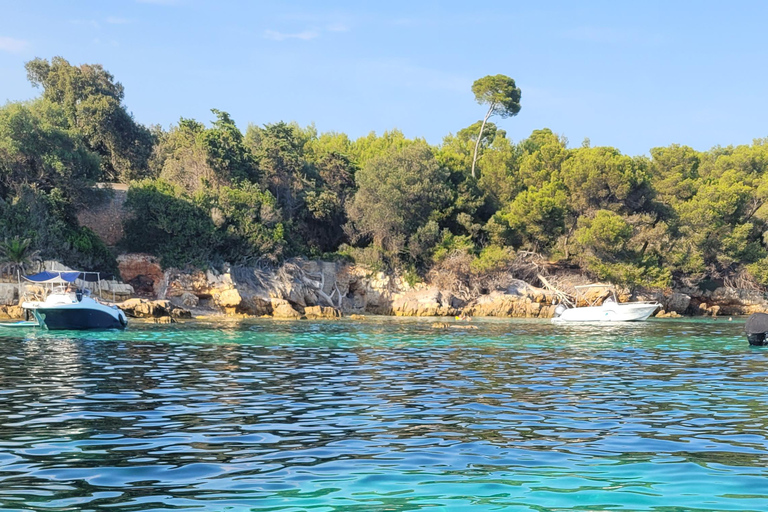Golfe-Juan: Îles de Lérins/Cap d&#039;Antibes: Speedbåtsutflykt 1,5 timmeGolfe-Juan: Lérinsöarna/Cap d&#039;Antibes: Speedboat-utflykt 1,5 timme
