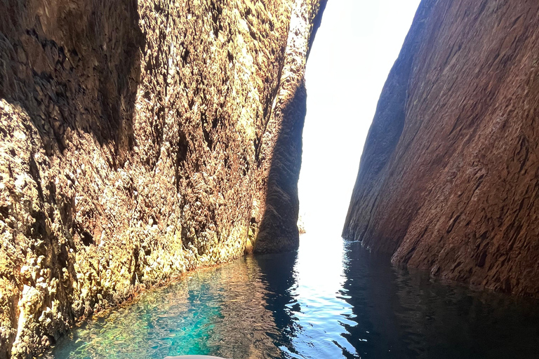 De Cargèse : Le grand tour du Golfe