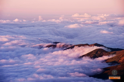 Cielos de Colón