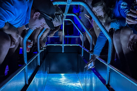 Airlie Beach: Passeio noturno em um barco com fundo de vidro