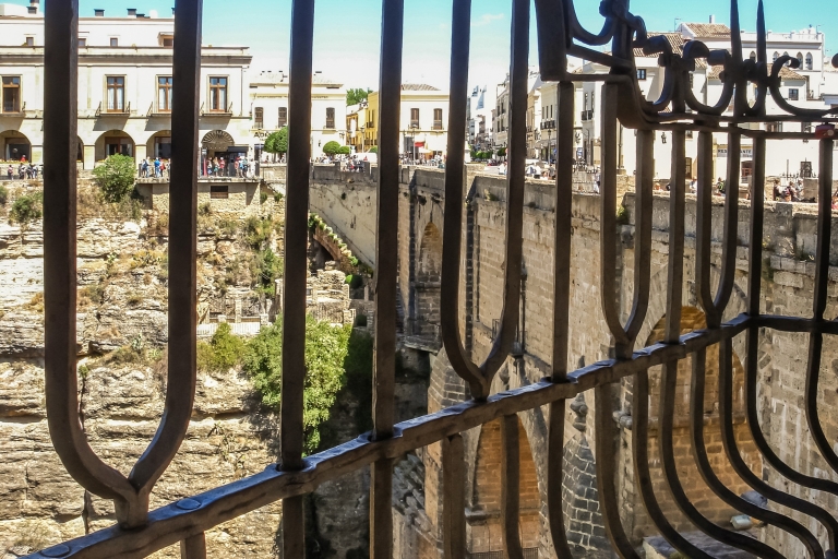 Costa del Sol et Malaga : Ronda et Setenil de las BodegasPrise en charge dans le centre-ville de Malaga