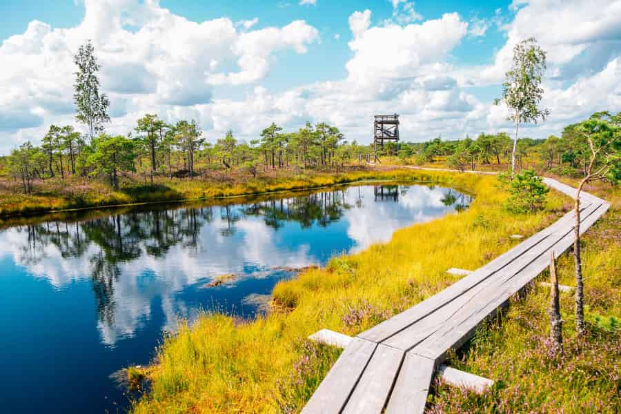 Von Riga aus: Ausflug zum Kemeri-Nationalpark und nach Jurmala. Foto: GetYourGuide
