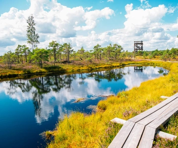 From Riga: Trip to Kemeri National Park & Jurmala