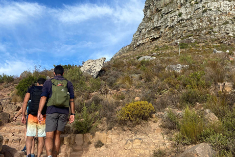 Kaapstad: must do Lion&#039;s Head wandeling