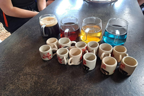 Chiang Mai: Doi Inthanon Pha Dok Siew Trek & Karen Culture