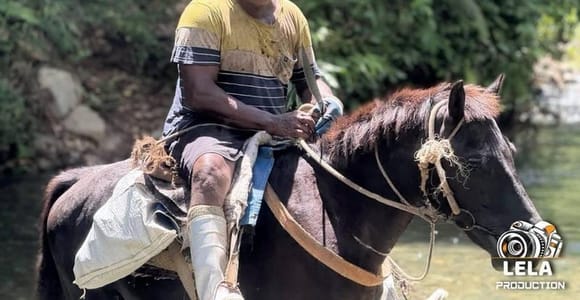 Fiji Highlands: Sevusevu Ceremony, Horse Ride & Bamboo Raft