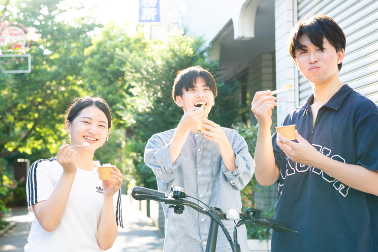 Tokyo: Private Electric Bike Tour of City Highlights Tokyo Private 3-hour City Highlights E-Bike Tour