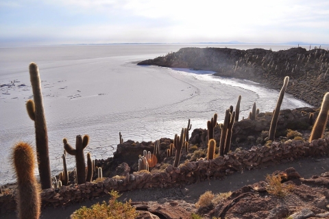3-daagse zoutvlakten en gekleurde lagunes Tour vanuit UyuniTour vanuit Uyuni - Einde in San Pedro de Atacama