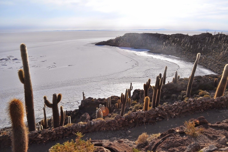 3-daagse zoutvlakten en gekleurde lagunes Tour vanuit UyuniTour vanuit Uyuni - Einde in San Pedro de Atacama