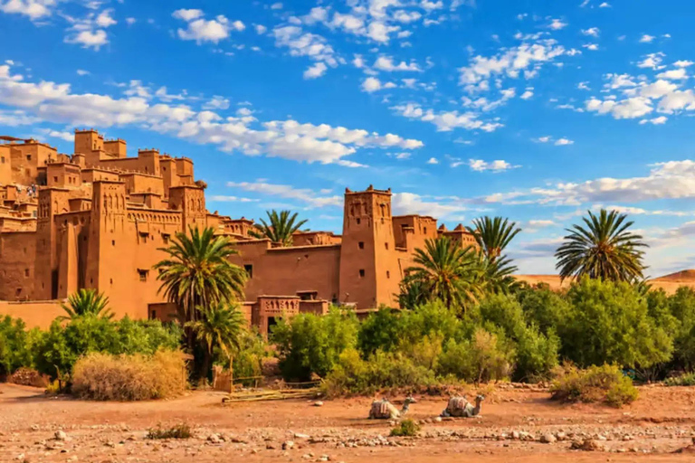 From Marrakech: 2-Day Zagora Desert Tour via Ait Benhaddou