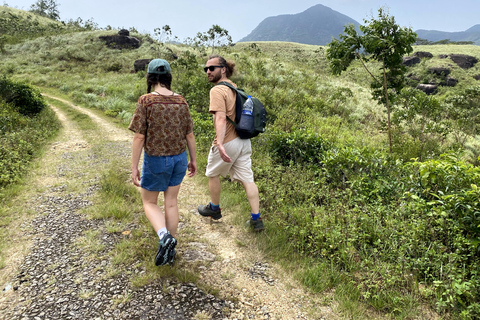 Tedo 7 Waterfalls Peak Adventure – Knuckles Mountain Range