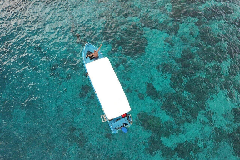 Private Gili Snorkeling Tour: Turtles, Reefs + GoPro & Drone 4 Hour Morning Trip + GoPro & Drone