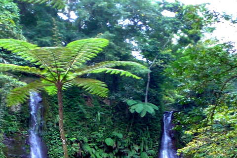 Lombok: Pick-up Port/Airport +Waterfall Tour+ Drop off Hotel Bangsal Port + Waterfall Tour + Drop-off Kuta Lombok Area