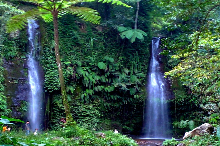 Lombok: Pick-up Port/Airport +Waterfall Tour+ Drop off Hotel Bangsal Port + Waterfall Tour + Drop-off Kuta Lombok Area