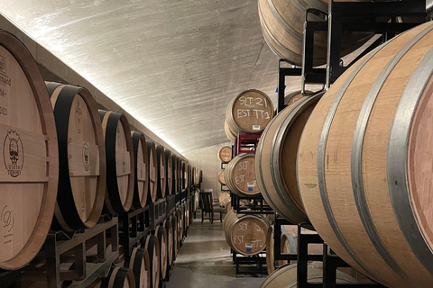 San Antonio: Fredericksburg Wineries Day Trip with Tastings Tour in English