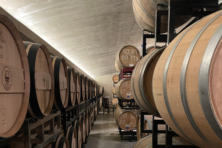 San Antonio: Fredericksburg Wineries Day Trip with Tastings Tour in English