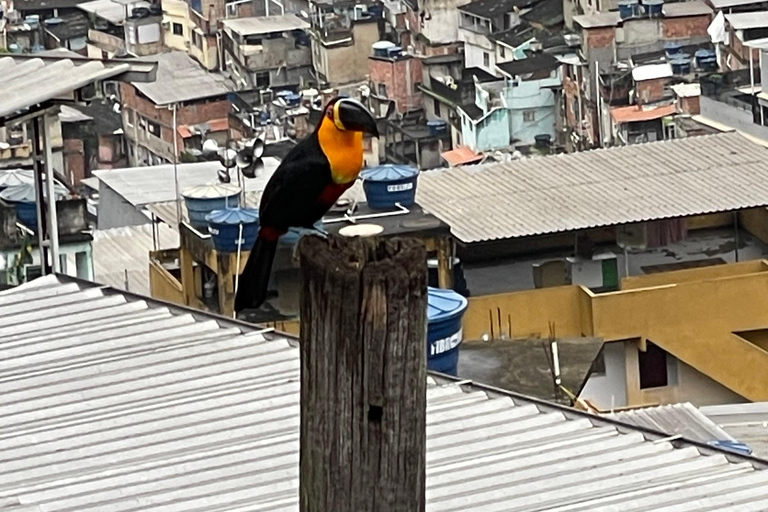 Rio: Rocinha Favela Tour with Local Guide & Capoeira