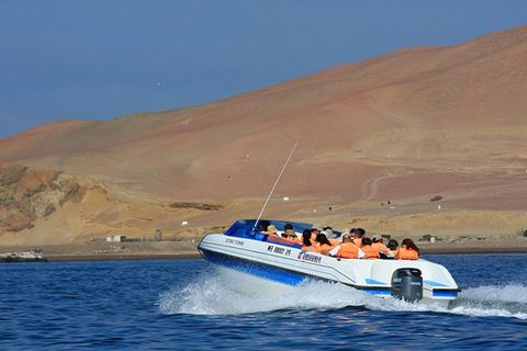 Paracas, Ballestas Islands, & Paracas National Reserve Tour from Ica