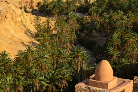 From Djerba: 2-Day Tozeur & Sahara Tour , Oasis & Star Wars