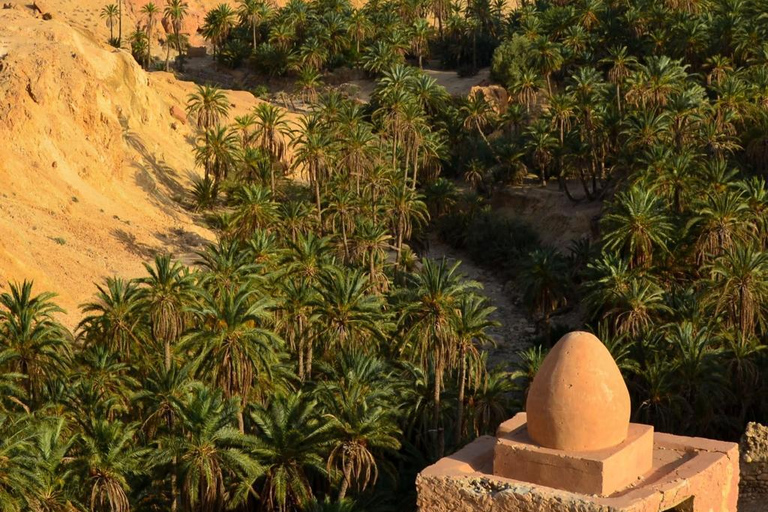 From Djerba: 2-Day Tozeur & Sahara Tour , Oasis & Star Wars