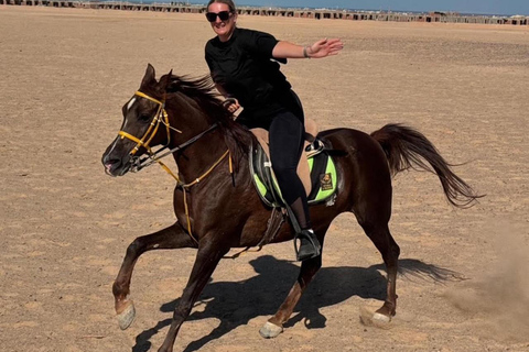 Hurghada: Abenteuerausflug mit Pferden durch die Wüste und zum StrandPrivater Ausritt in Hurghada: Wüste &amp; Strand