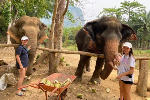 Khao Lak: Santuario degli elefanti di Khao Sok e passeggiata notturna nella giungla