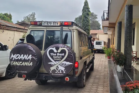 Tanzania: Safari di 4 giorni a Tarangire, Serengeti e ...