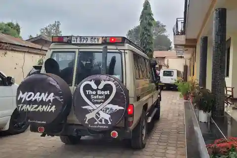 Tanzânia: Safari de 4 dias em Tarangire, Serengeti e ...