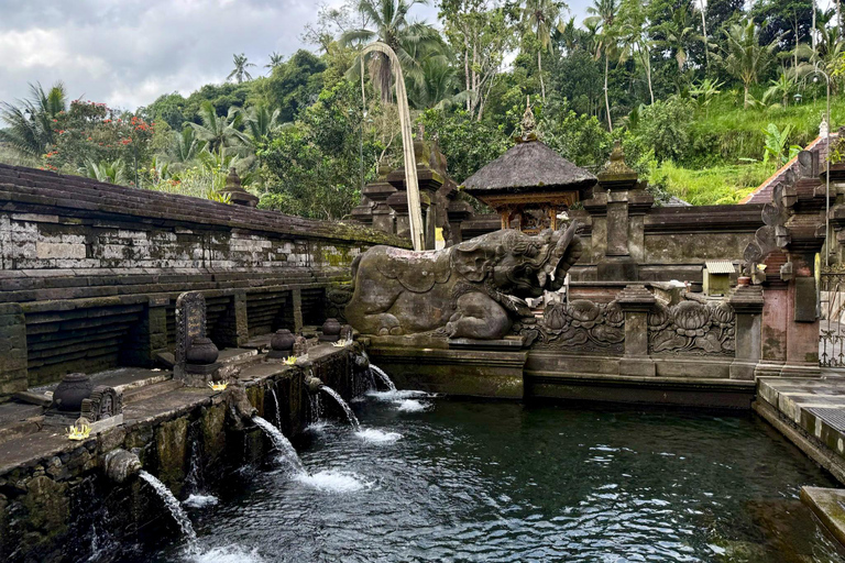 Bali: Holy Spring Temple Tour with Purification Ritual Basic Package Purification Ritual