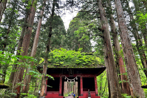 Private Nagano Luxury Cultural & Nature Day Tour from Tokyo