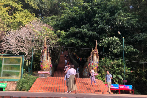 Chiang Mai: Wat Pha Lat &amp; Wat Phra That Doi Suthep-turGruppresa med upphämtning från hotell