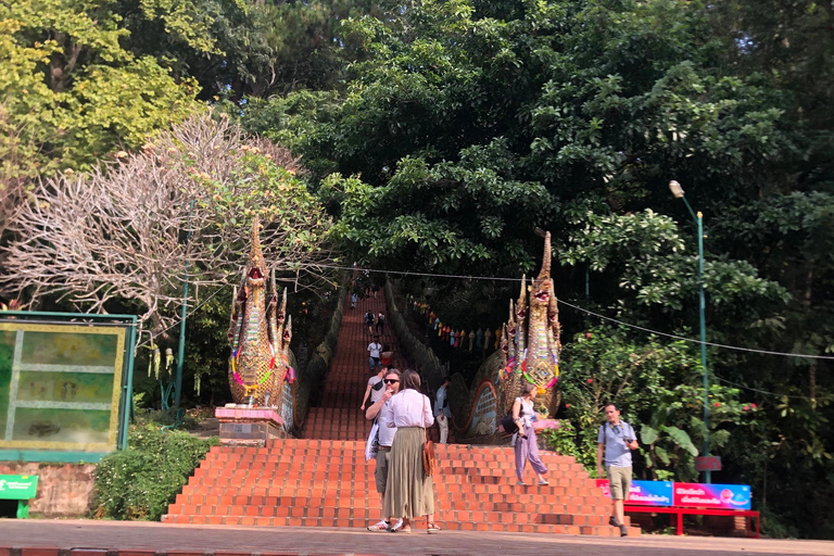 Chiang Mai: Tour di Wat Pha Lat e Wat Phra That Doi SuthepTour di gruppo con servizio di prelievo in hotel