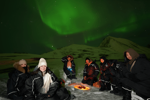 From Tromsø: Northern Lights Tour in Minibus with Photos