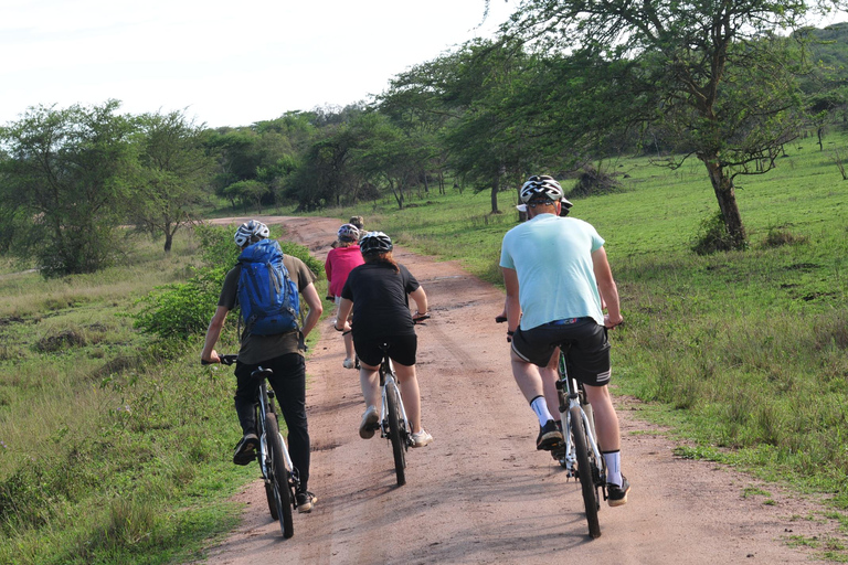 6 Days Uganda Primate & Big Game Safari Experience