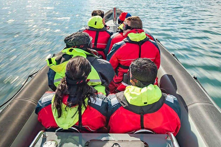 Balestrand: Fjord Sightseeing by Fast Boat